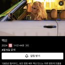 맥신 이미지