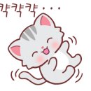 아우라단열 이미지