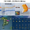 기온 더 올라 ~~~ 건조 특보 속 산불 조심 이미지