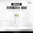 레푸스 경대점 이미지