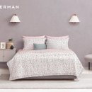 알레르망 이미지