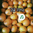 감귤 10kg 13000(택포) 이미지