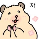 연지돈