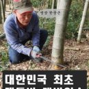 한상근대통밥집 이미지