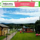 백록동물병원 이미지