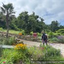 청산 버스터미널 | 청산도 낚시 감성돔 5짜 대물 손맛 기록 / 완도여객선터미널 배편 최신 정보