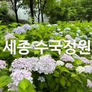 참뜰근린공원 농구장 | [세종시 가볼만한 곳] 제천뜰 근린공원의 수국 정원, 주말 나들이 코스