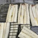 유정테크 이미지