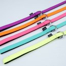 멋내는 강아지 이미지