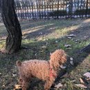 몽이네컷 이미지