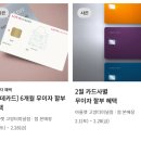 네파키즈롯데고양