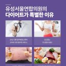 나에게 맞는 다이어트는 따로 있다 이미지