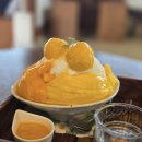 전민세종공인중개사사무소 | 🌸 세종시 카페 감성카페 팥빙수 맛집 디저트맛집 소개