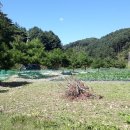 춘천대지부동산공인중개사사무소 Daum카페