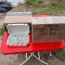 실미농장 이미지