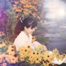 해나비 Daum카페