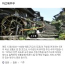 디아나서울대구