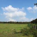 정우성목장 이미지