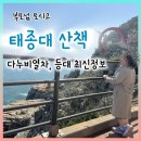 부산 영도 태종대 | 부산 영도 태종대 후기｜부모님 모시고 산책 다녀온 현실 코스 + 다누비열차·유람선 비교
