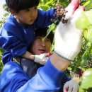 송호농장 이미지