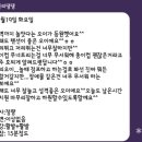 오늘의 댕댕 이미지