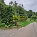 원효공인중개사사무소 이미지