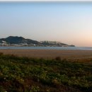 사하구 롯데캐슬아파트 진입로 이미지