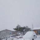 노송축사 이미지