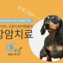 민들레동물병원 이미지