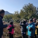 안치홍농장 이미지