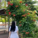 살롱드네이처쿨(헤어) | 천호 미용실, 천호역 미용실 - 살롱드온 천호점 : 애쉬카키브라운 톤다운 후기, 천호 퍼스널 염색 아름...