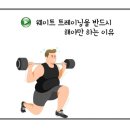 매일헬스트레이닝 네이버블로그