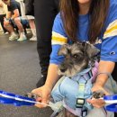 위크로스 이미지