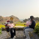 안덕면 소라민박 옆 | 콩떡꿀떡 제주일기 ✈️ 5세 2세 아이들과 제주도 여행 | 제주뽀로로테마파크, 소색채본