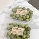 칠봉산 농장 이미지