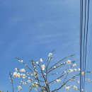 도화 민박 이미지