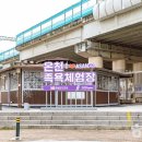 올리브영충남