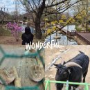 부산 어린이 가볼만한 곳 화명수목원 동물원 방문후기