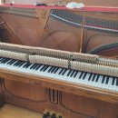 비파음악학원 이미지