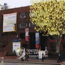 샘터루 이미지
