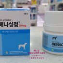 성동동물약국 이미지