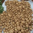 천양농장 이미지