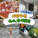 계곡경로당 | [거창/숙소] 거창 숨어있는 계곡 옆 펜션 : 트리하우스(내돈내산)+여름일기