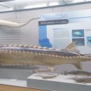 부산해양자연사박물관 이미지