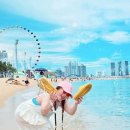 동해바다 이미지