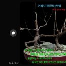 연리지 - 강화군 해안동로 1051 | 연리지