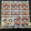 에그마켓