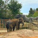 버드벨리 | 주말 에버랜드 눈치게임 성공한 후기! 헌트릭스 할로윈 팝업, 엔시티위시 팝업, 산리오 굿즈 구경