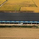 창해태양광발전소 이미지