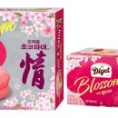 정블라썸